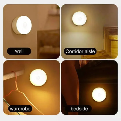 Galho de Bétula com Luz LED Decorativo – Branco Quente